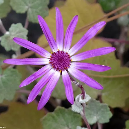 La Cuadra بيت للعطل *